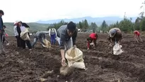 Ley agraria. Video : Canal N / Foto: Andina