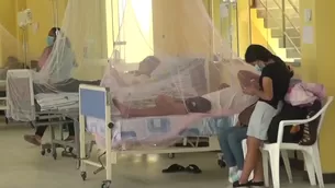 Ministerio de Salud informó que ya van dos semanas de clara caída en casos de dengue. / Video: Canal N