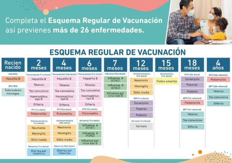 Esquema regular de vacunación. Foto: Minsa