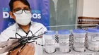 Minsa liberará mosquitos con bacteria para frenar el dengue