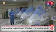 Minsa registra más de 55 mil casos de dengue en el país