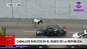 América Noticias