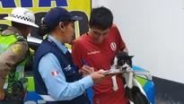 Sujeto fue intervenido en Miraflores por intentar abandonar a su gato en parque Kennedy. Foto: Municipalidad de Miraflores