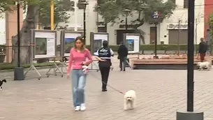 El último domingo ocurrió un hecho lamentable tras la muerte de un gato a manos de un perro en el Parque Kennedy. / Video: Canal N