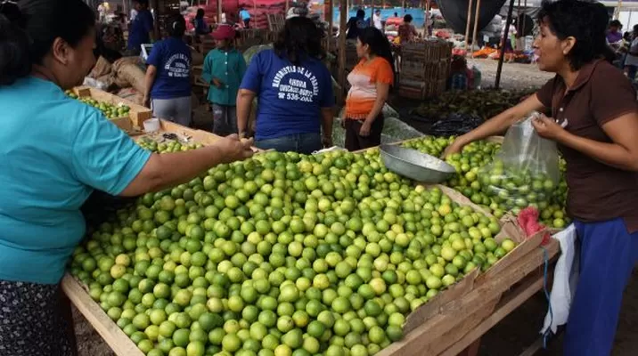 “La Municipalidad de Lima invoca a la población a consumir productos de temporada", agregó / Foto: archivo Andina “La Municipalidad de Lima invoca a la población a consumir productos de temporada", agregó / Foto: archivo Andina