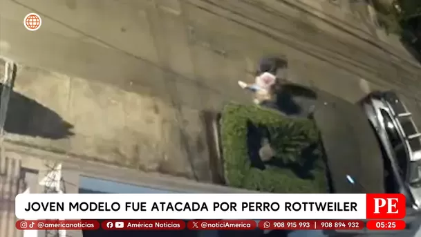 Joven modelo fue atacada por perro rottweiler en Chorrillos. Foto: América Noticias