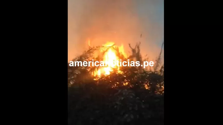 El siniestro fue controlado por compañías de bomberos de varios distritos. Foto: América Noticias El siniestro fue controlado por compañías de bomberos de varios distritos. Foto: América Noticias