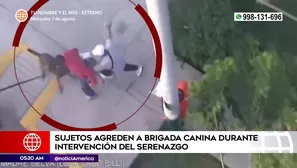 Sujetos agredieron a brigada canina de La Molina. Foto y video: América Noticias