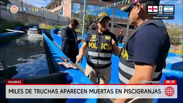 Muerte de truchas en Huaraz afecta a piscigranjas en Huaraz. Foto: América Noticias