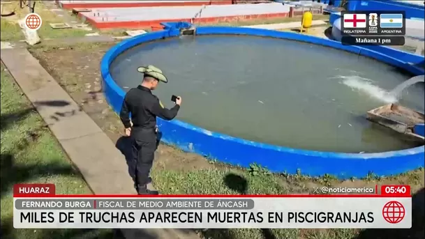 Muerte de truchas en Huaraz afecta a piscigranjas en Huaraz. Foto: América Noticias