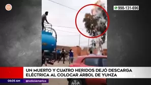 Árbol chocó contra los cables de alta tensión y ocasionaron la tragedia / Fuente: América Noticias