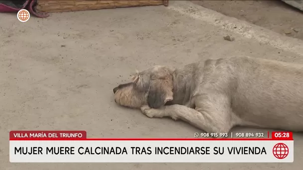 Mujer de 49 años muere calcinada tras incendio en vivienda de Villa María del Triunfo. Foto: América Noticias Mujer de 49 años muere calcinada tras incendio en vivienda de Villa María del Triunfo. Foto: América Noticias