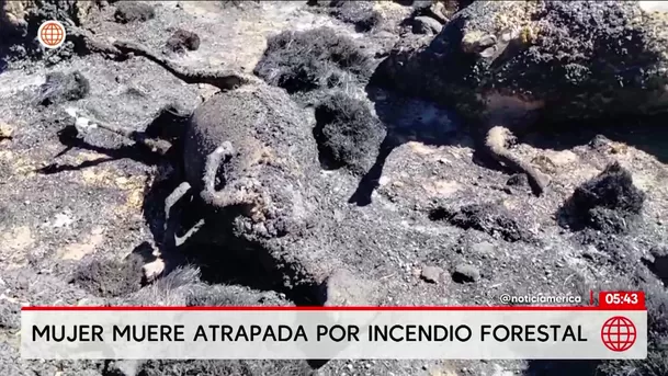 Mujer muere en Puno tras ser atrapada por incendio forestal. Foto: América Noticias Mujer muere en Puno tras ser atrapada por incendio forestal. Foto: América Noticias