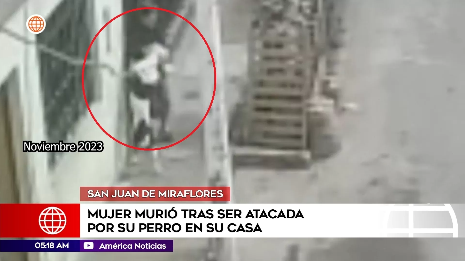 Mujer murió tras ser atacada por su perro en San Juan de Miraflores. Foto: América Noticias Mujer murió tras ser atacada por su perro en San Juan de Miraflores. Foto: América Noticias