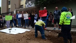 Municipalidad de Magdalena: "Ningún árbol fue talado" / Foto: Andina