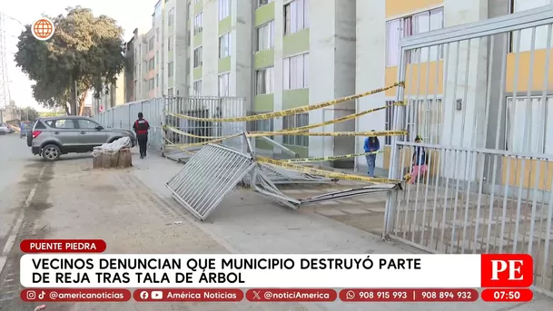 Vecinos denuncian que municipio destruyó parte de reja tras tala de árbol en Puente Piedra. Foto: América Noticias Vecinos denuncian que municipio destruyó parte de reja tras tala de árbol en Puente Piedra. Foto: América Noticias