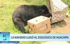 La Navidad llegó al zoológico de Huachipa - Noticias de zoologico