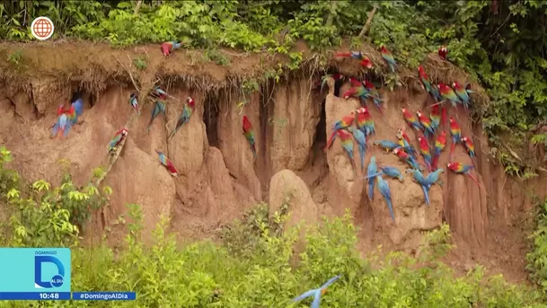 Fuente: Domingo Al Día