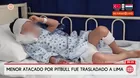 Niño de 4 años fue atacado por perro pitbull en Chiclayo