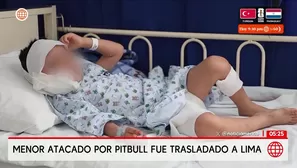 Niño de 4 años fue atacado por perro pitbull en Chiclayo. Foto y video: América Noticias
