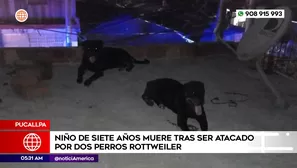 Niño de 7 años murió tras ser atacado por perros rottweiler en Pucallpa. Foto y video: América Noticias