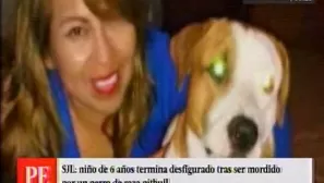 Perro pitbull que atacó a niño. América Noticias