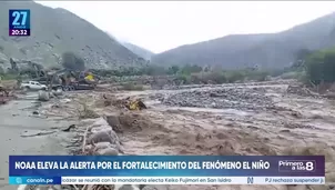 Foto y video: Canal N