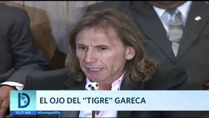 Ricardo Gareca. Domingo al Día