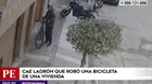 Los Olivos: Cámara de seguridad registra momento en que delincuente roba bicicleta