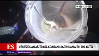 Intervenidos utilizaban una licuadora para procesar la marihuana.