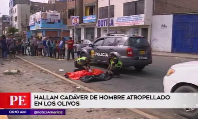 Los Olivos: hombre fue atropellado por camión que se dio a la fuga
