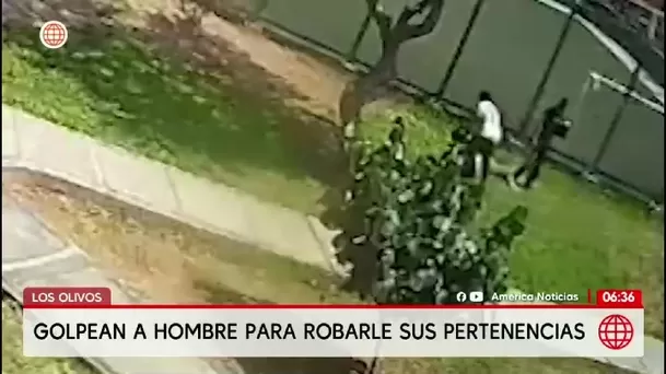 Hombre fue golpeado con casco por raqueteros en parque de Los Olivos/ América Noticias