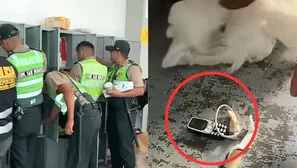 Foto y video: Canal N