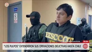 Los Pulpos: La organización criminal y su amplio historial criminal. Foto y video: América Noticias