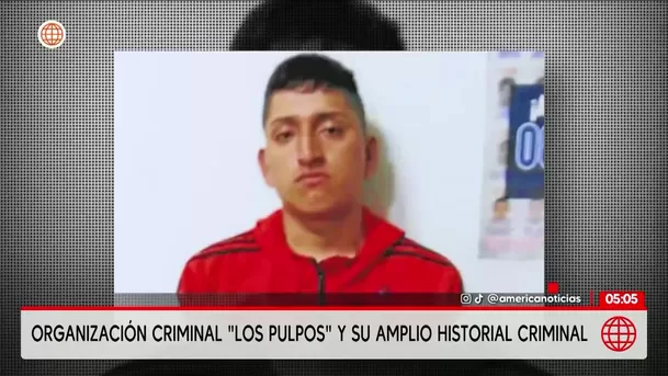 Los Pulpos: La organización criminal y su amplio historial criminal. Foto: América Noticias
