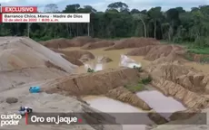 Oro en jaque - Noticias de tala-ilegal