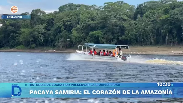 Fuente: Domingo Al Día