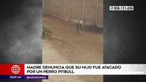 Foto y video: América Noticias