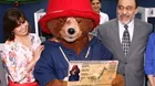 Paddington ya tiene DNI: osito recibió su documento como ciudadano peruano