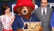 Paddington ya tiene DNI: osito recibió su documento como ciudadano peruano