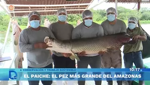 Foto y video: América Noticias