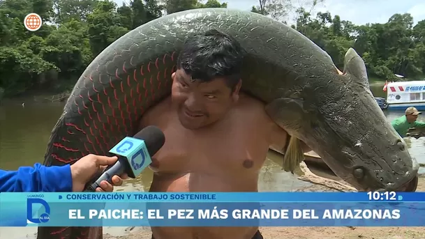 Fuente: Domingo Al Día