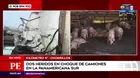 Panamericana Sur: Dos heridos tras choque de camiones