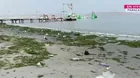 Paracas: Playa El Chaco amaneció llena de basura tras Año Nuevo