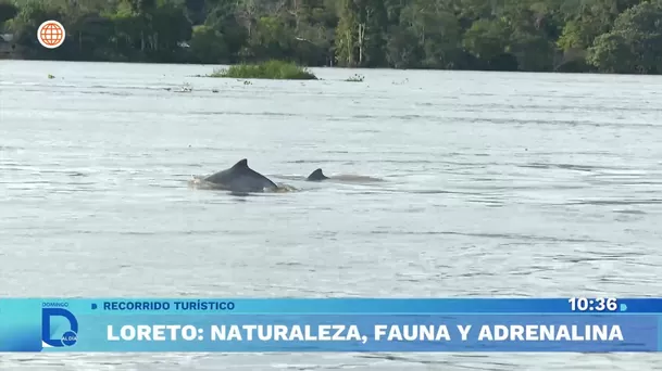 Fuente: Domingo Al Día
