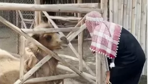 Un llamado a la responsabilidad se hace necesario para evitar futuros incidentes. / Video: Canal N