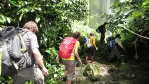 Parque Nacional de Tingo María. Foto: Andina