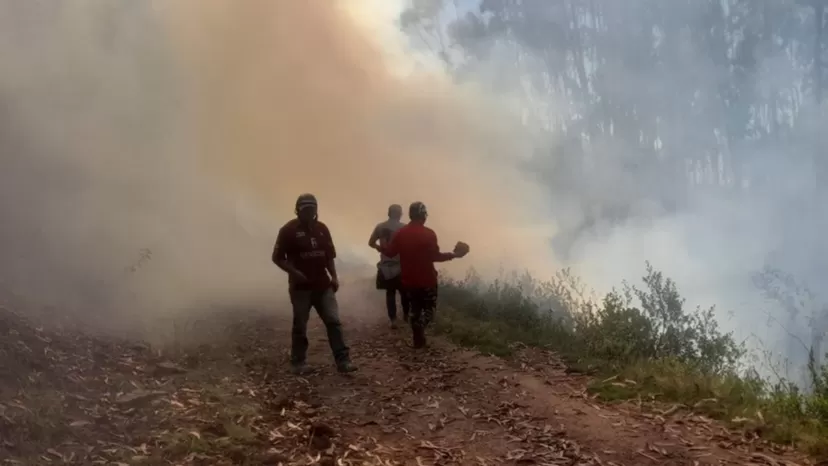 Pasco: Bomberos y población luchan contra incendio forestal en Huariaca
