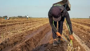 Medida fue tomada como parte de la campaña agrícola 2022-2023 para garantizar la seguridad alimentaria, indicaron.