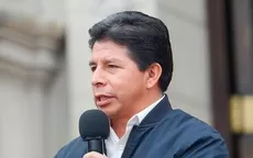 Pedro Castillo: Hay congresistas que les importa un pepino agendar los grandes problemas del país  - Noticias de hospital-del-nino